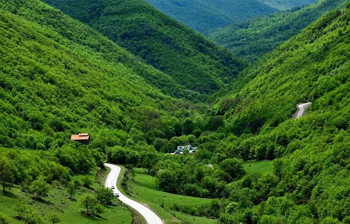 جنگل ارسباران