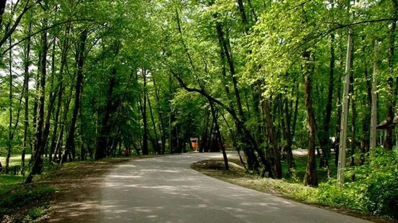 پارک جنگلی وردآورد
